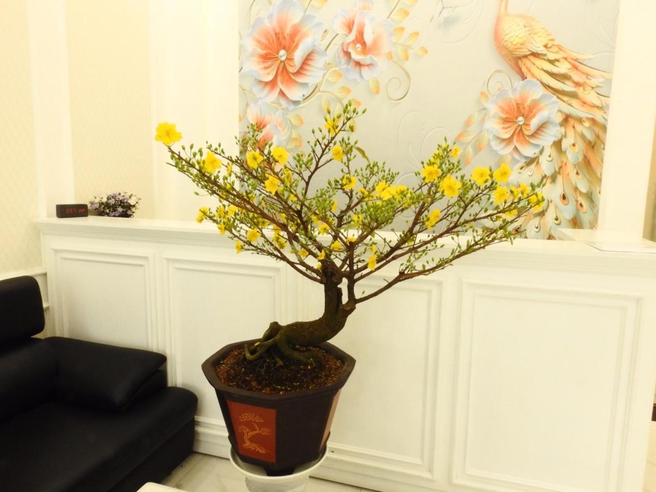Daisy Hotel Bandar Ho Chi Minh Luaran gambar